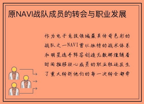 原NAVI战队成员的转会与职业发展