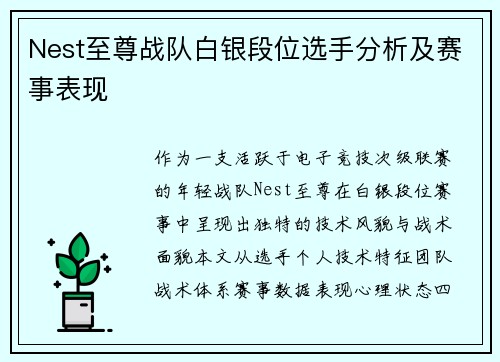 Nest至尊战队白银段位选手分析及赛事表现